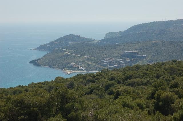 Dsc_0318.jpg