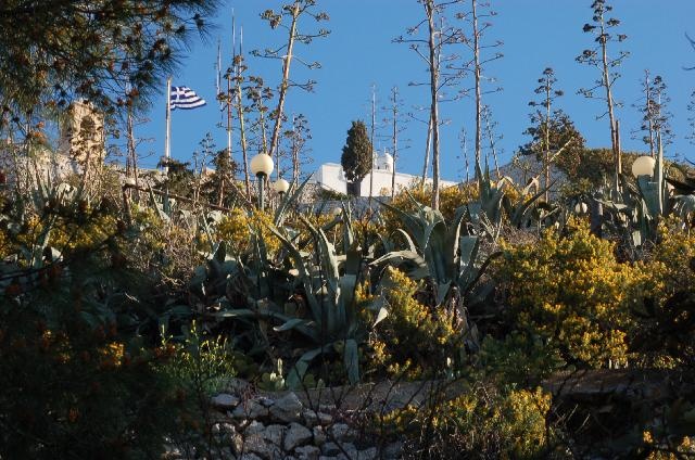 Dsc_0007.jpg