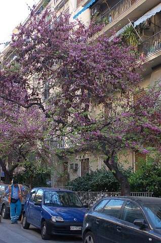 Dsc_0035.jpg