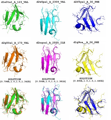 Protein descriptors structural comparison instances