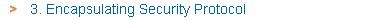 3. Encapsulating Security Protocol