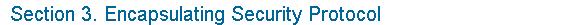 3. Encapsulating Security Protocol