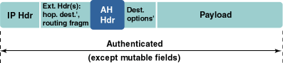 Extension headers marked with asterisk have variable positions