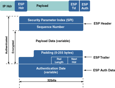 ESP packet format