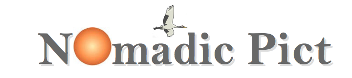 nomadic logo
