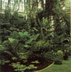 Greenhouse - interior